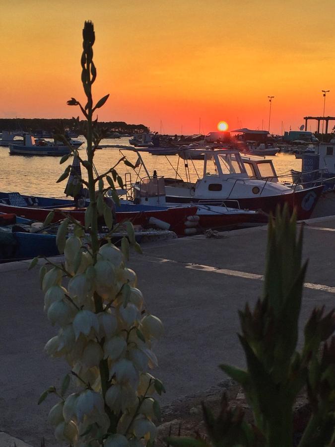 La Casa Di Ada E Gigi Vacanze Porto Cesareo Εξωτερικό φωτογραφία
